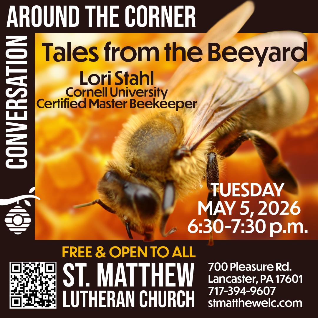 Tales from the Beeyard (1)