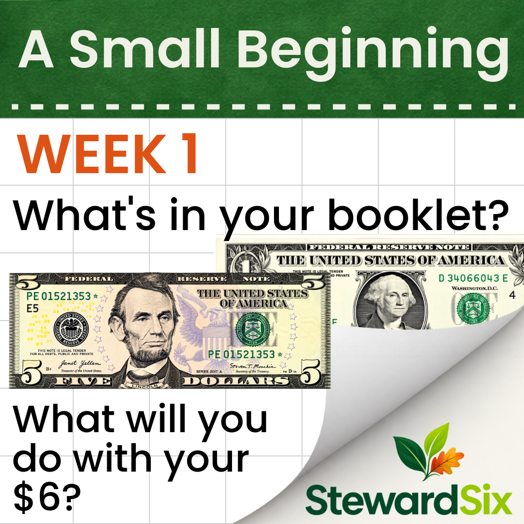 WEEK # 1 - A SMALL BEGINNING
